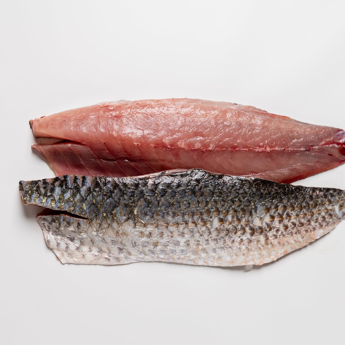 
                  
                    Two pieces of raw fish on a light gray background
                  
                