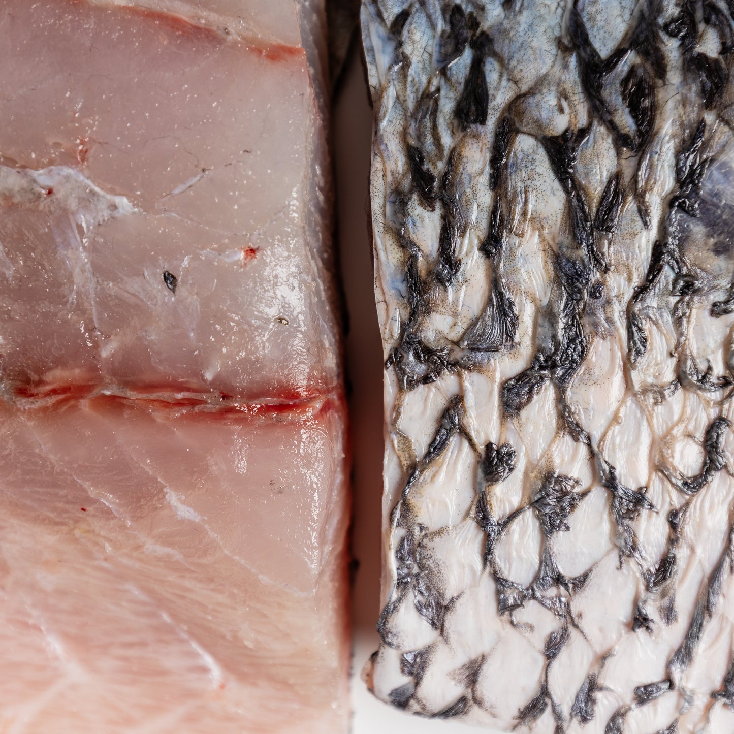 
                  
                    Barramundi fillet
                  
                