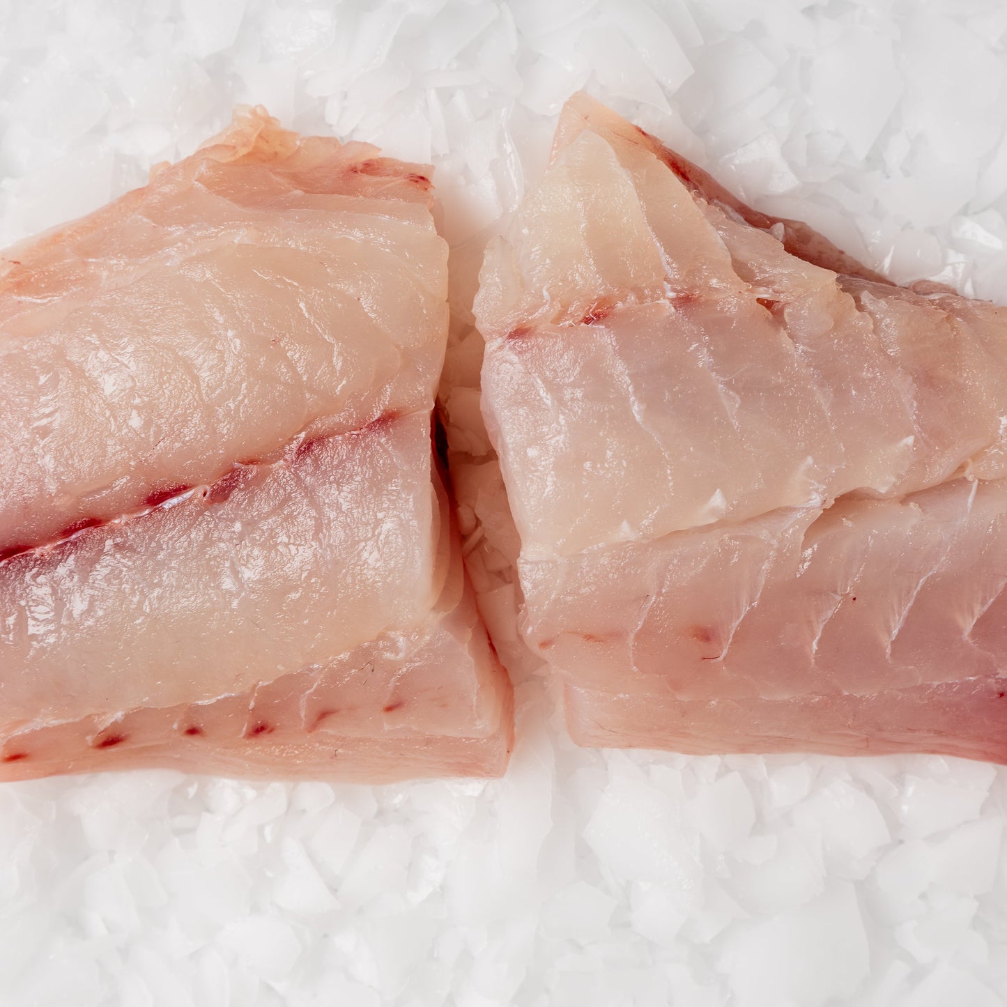 
                  
                    Saddletail Fillet
                  
                
