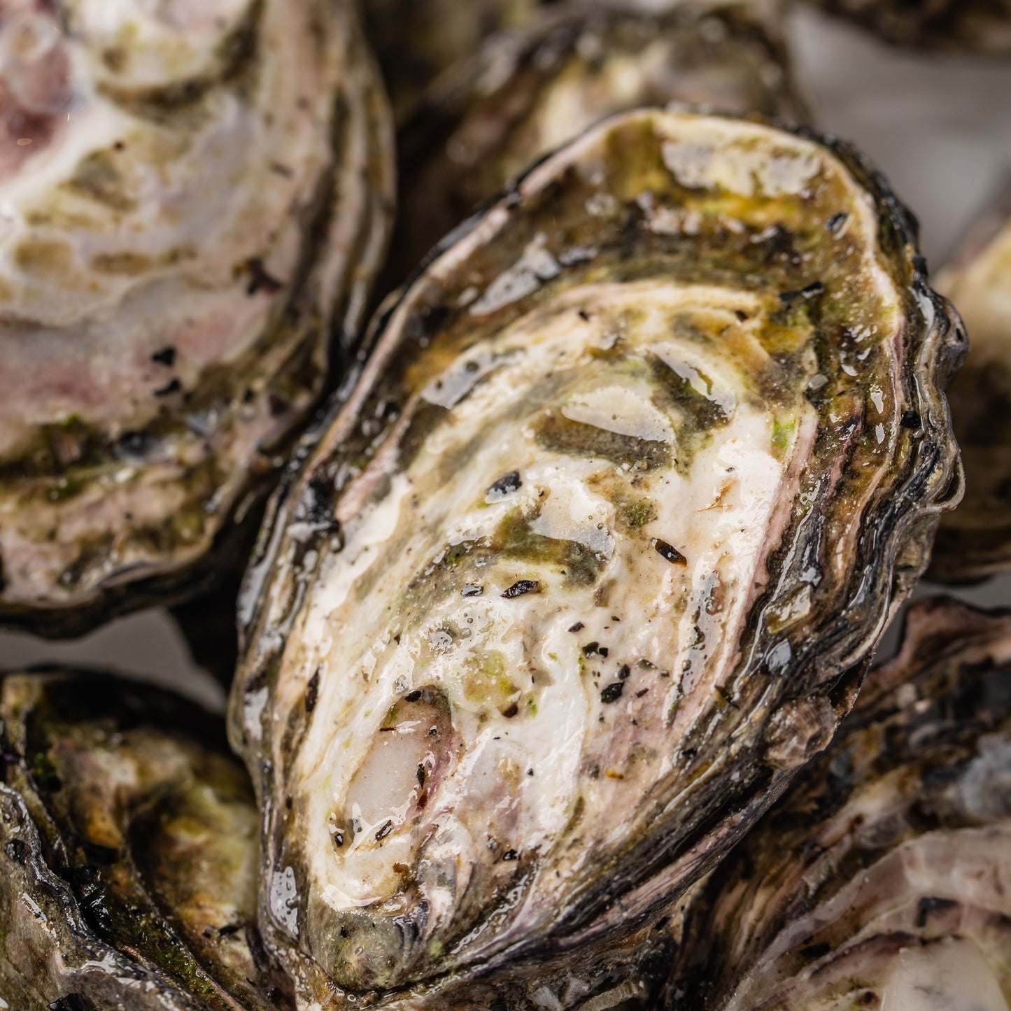 
                  
                    Oysters Live - Dozen
                  
                
