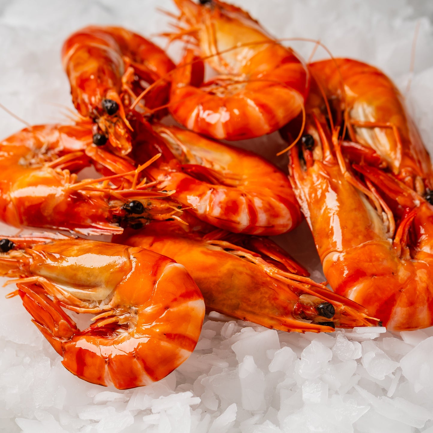 
                  
                    Tiger Prawn Cooked - 500g
                  
                