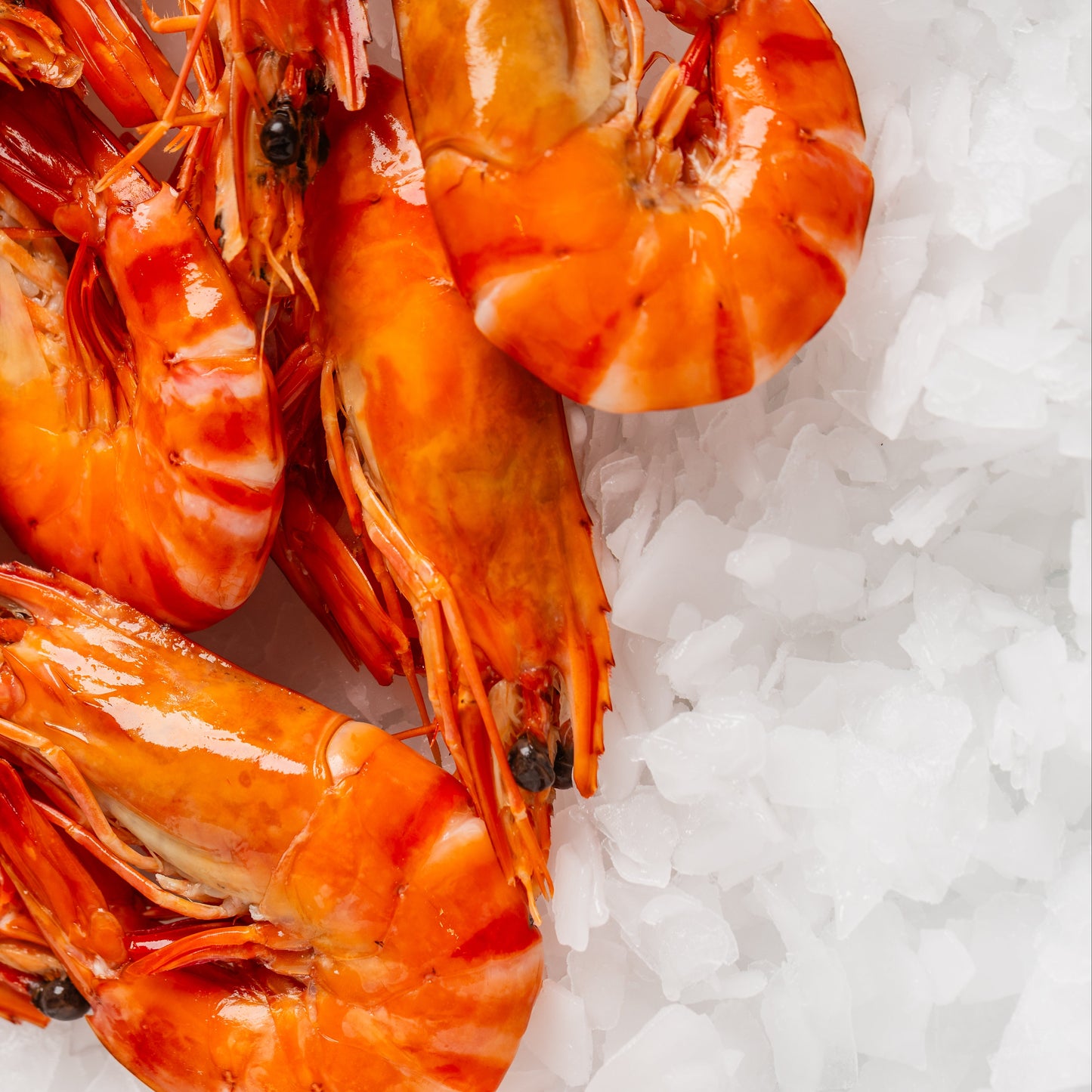 
                  
                    Tiger Prawn Cooked - 500g
                  
                