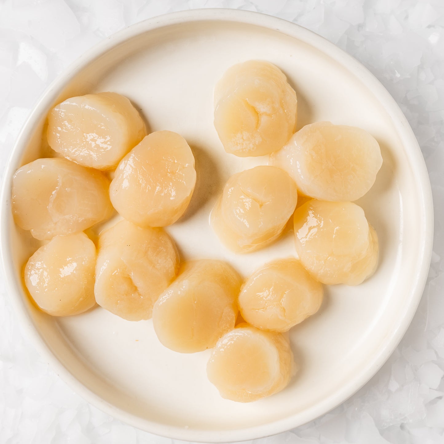 
                  
                    Scallop Meat 500g
                  
                