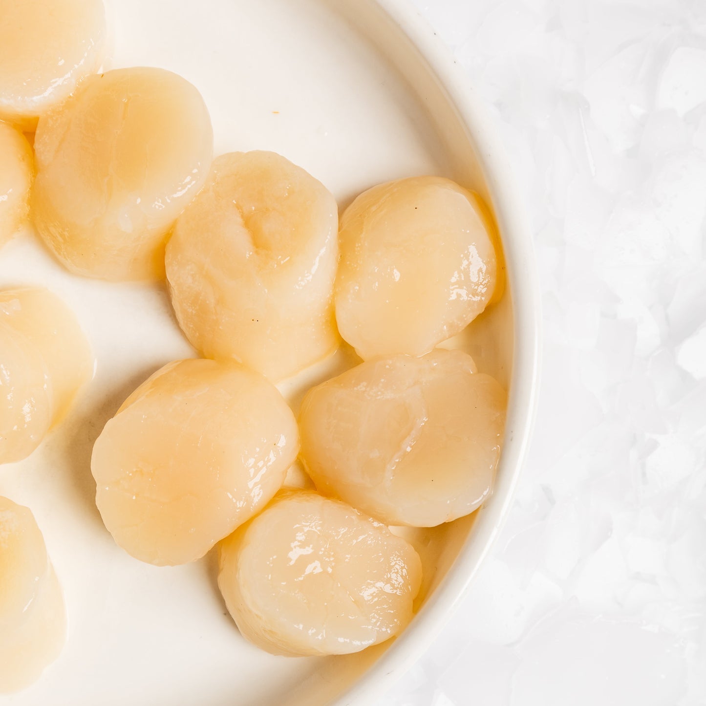 
                  
                    Scallop Meat 500g
                  
                