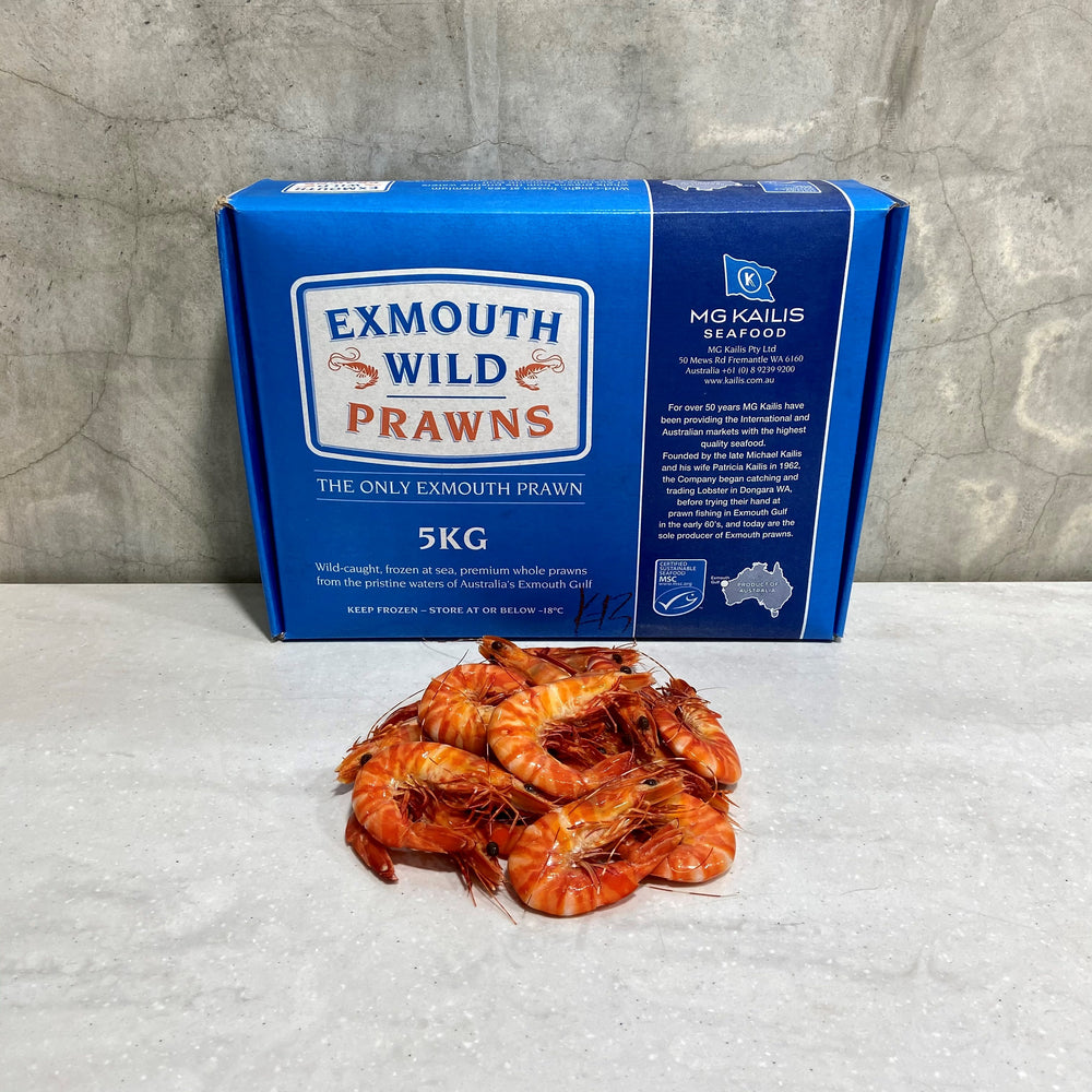 Cooked Exmouth Tiger Prawns 5KG Carton