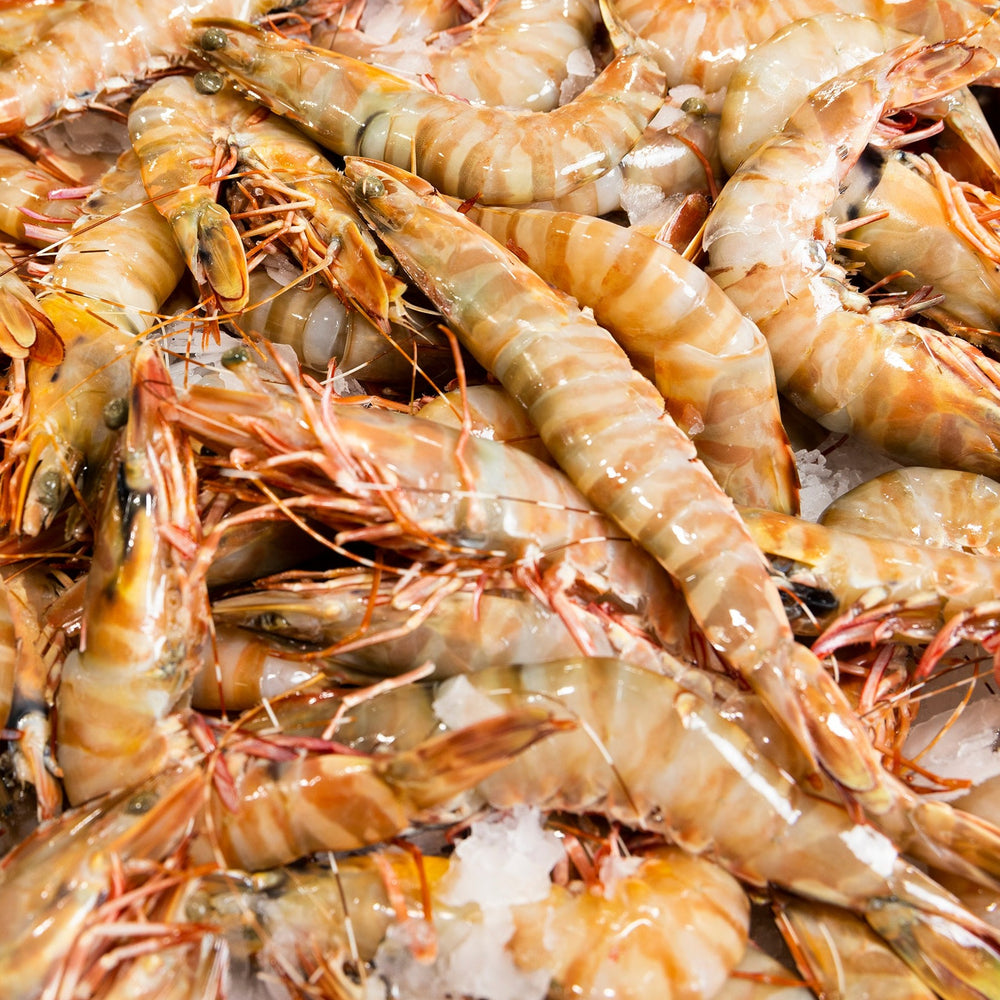 Jumbo Raw  Tiger Prawns - 3kg Carton