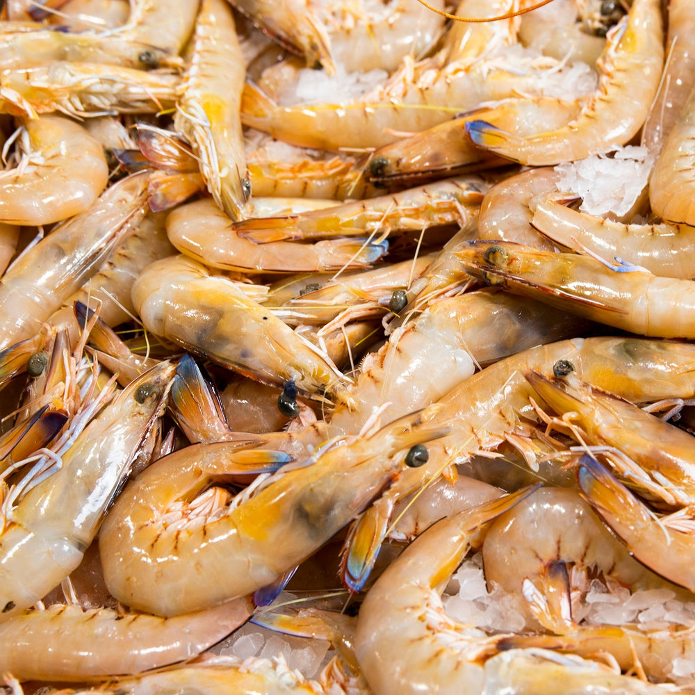 Extra Large Raw Shark Bay King Prawns - 5kg Carton