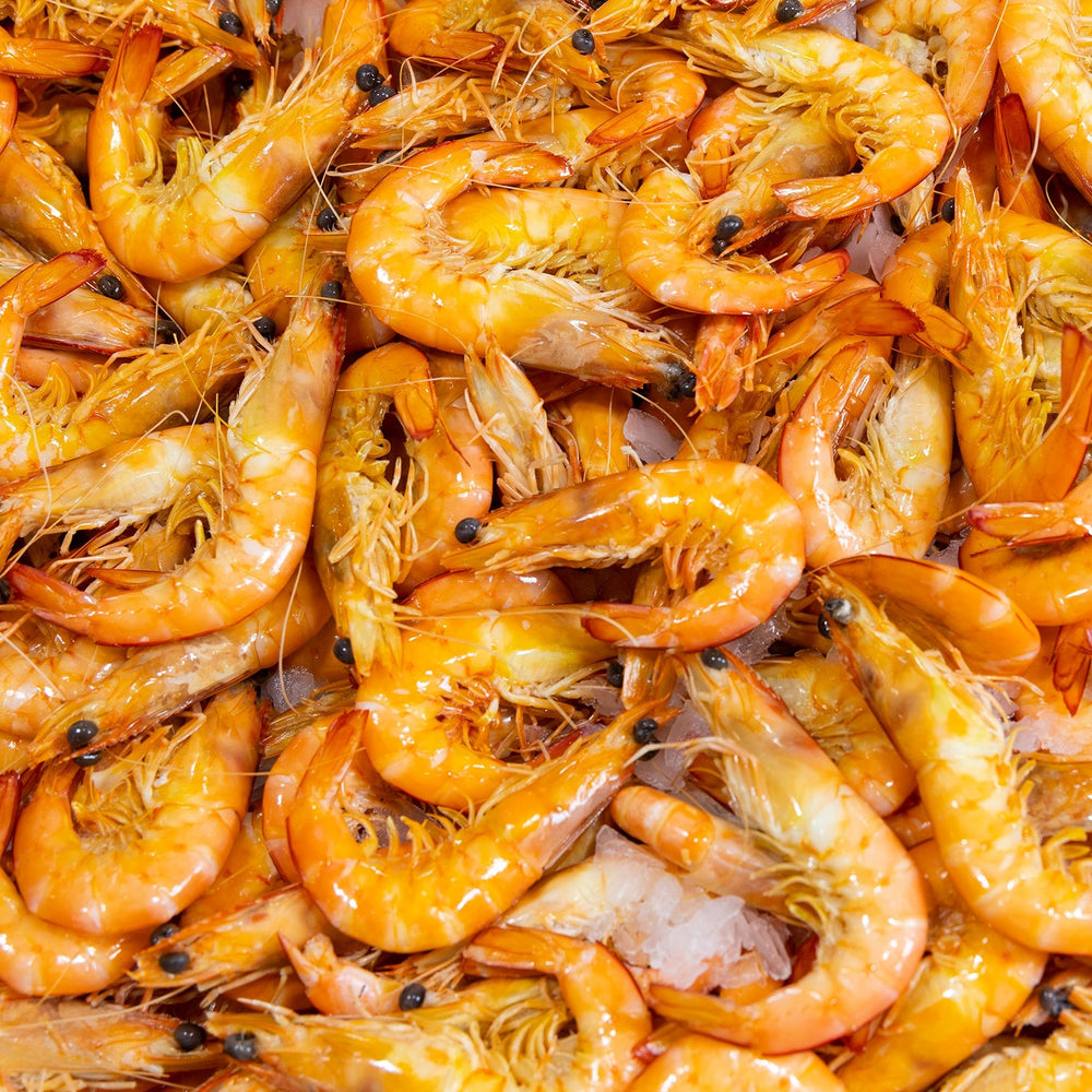 
                  
                    Extra Large Cooked Exmouth King Prawns - 5kg Carto
                  
                