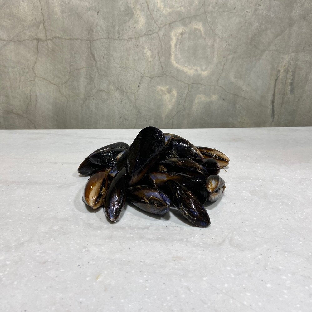 Cleaned Mussels