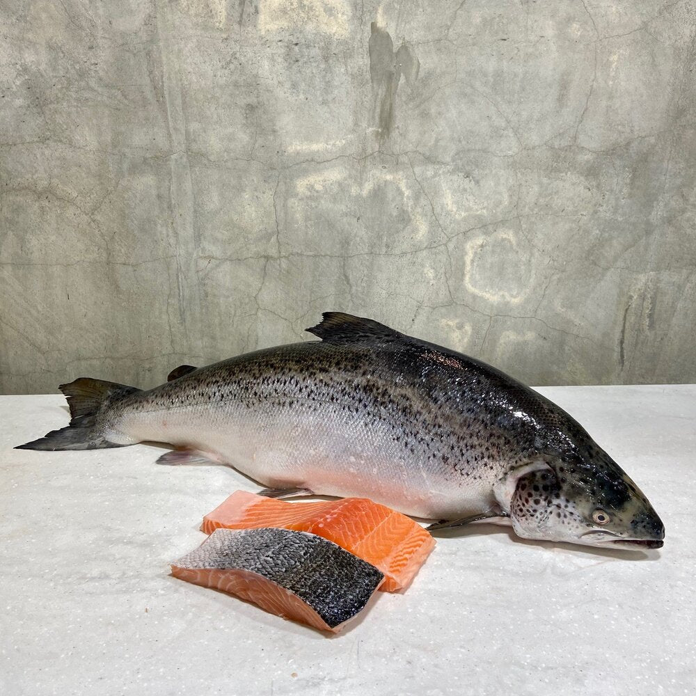 Tasmanian Salmon Fillets – Kailis Bros Leederville